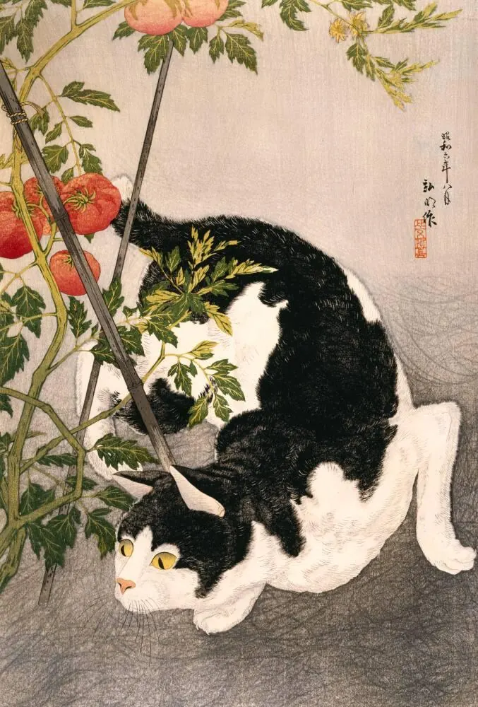 Black Cat and Tomato Plant by Takahashi Hiroaki, 1931