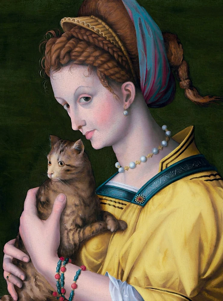 Kedi Tutan Genç Bir Hanımefinin Portresi — Francesco Bacchiacca